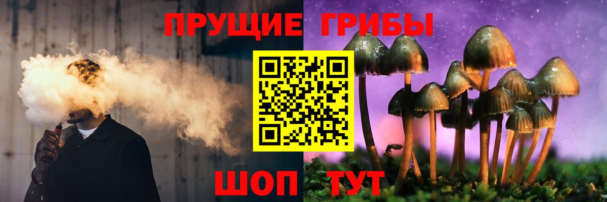 Псилоцибиновые грибы GOLDEN TEACHER  Вход с VPN  Дзержинский  Псилоцибиновые грибы прущие грибы 